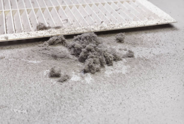 Best HVAC System Cleaning  in Moorhead, MN